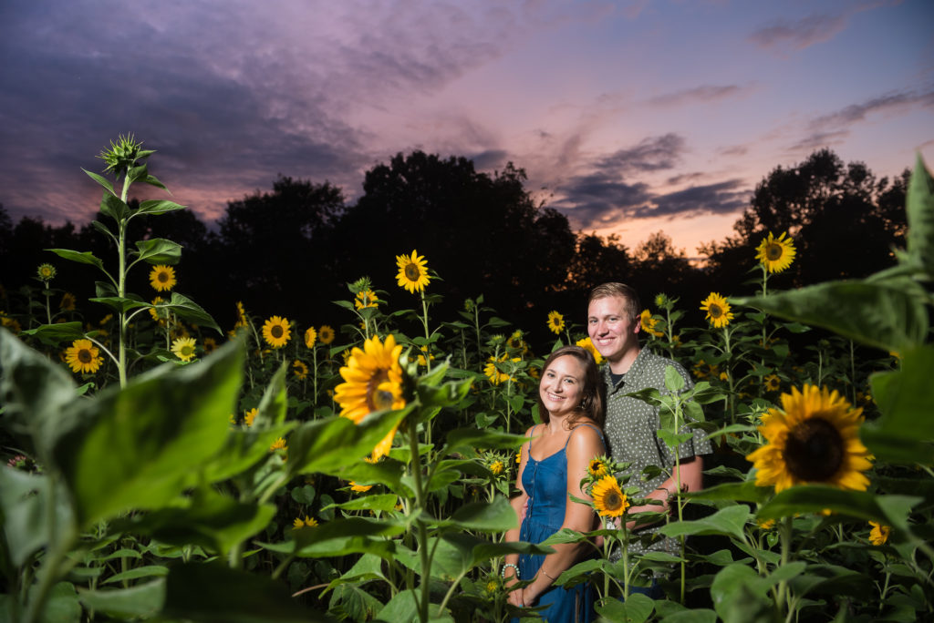 sunflower engagement photos