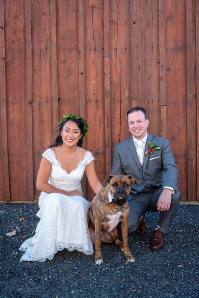 Dog - Maryland Wedding Photographer - 2