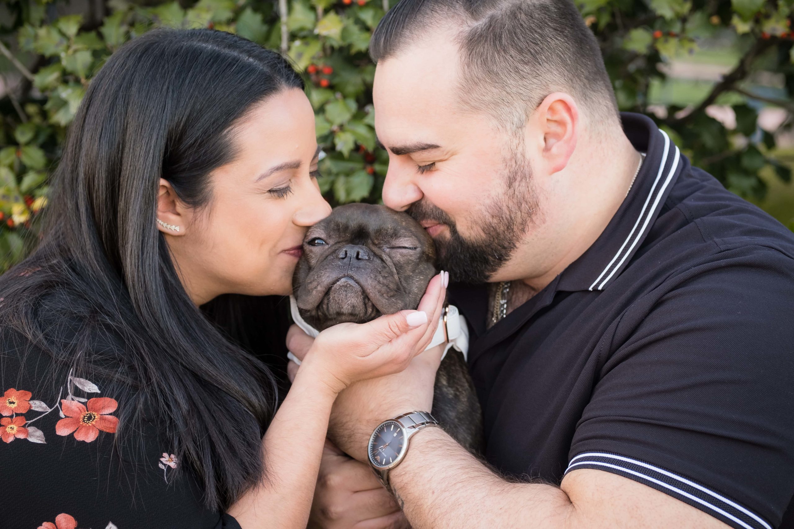 Engagement photos with french bulldog