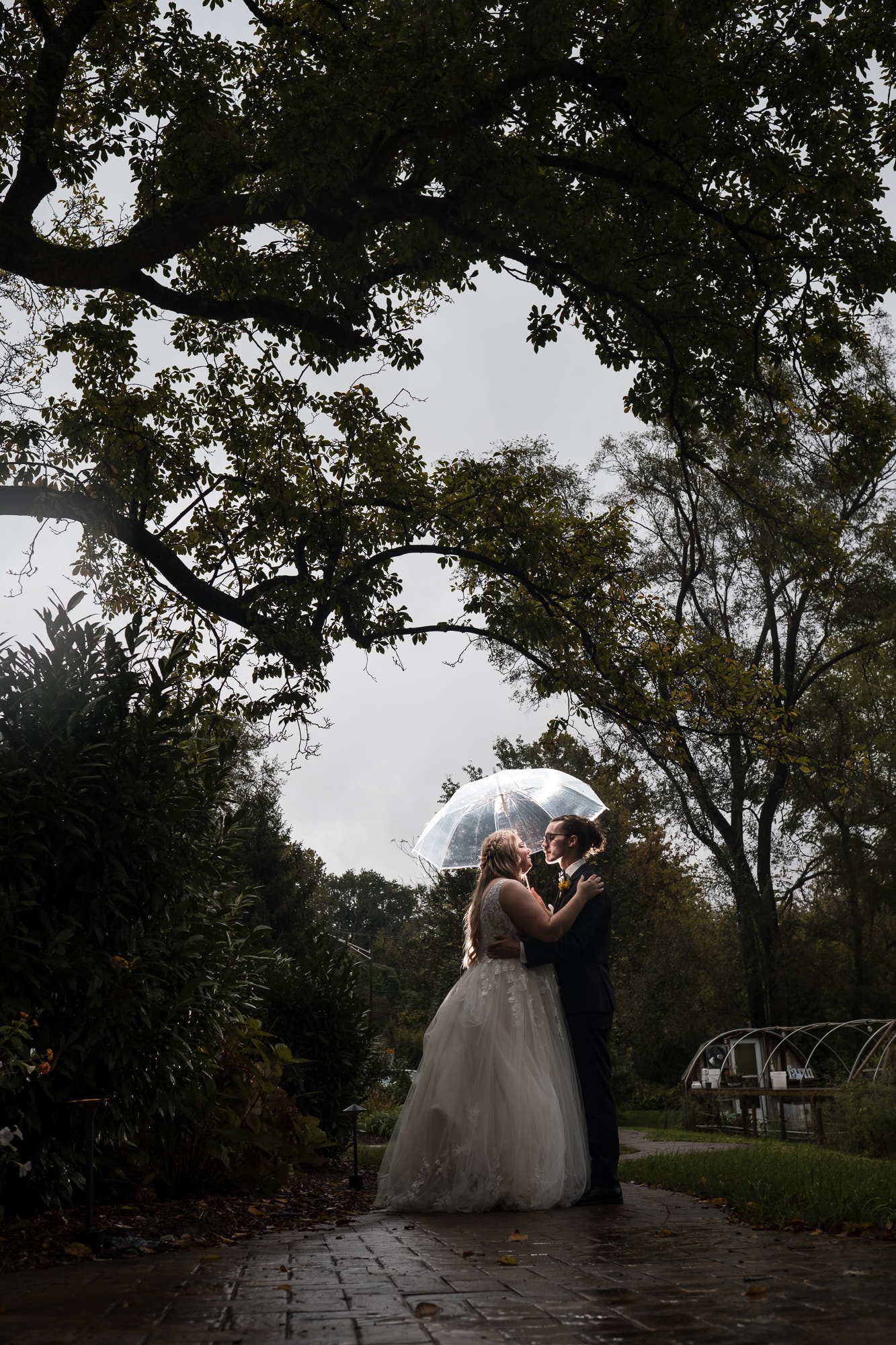 umbrella picture at wedding